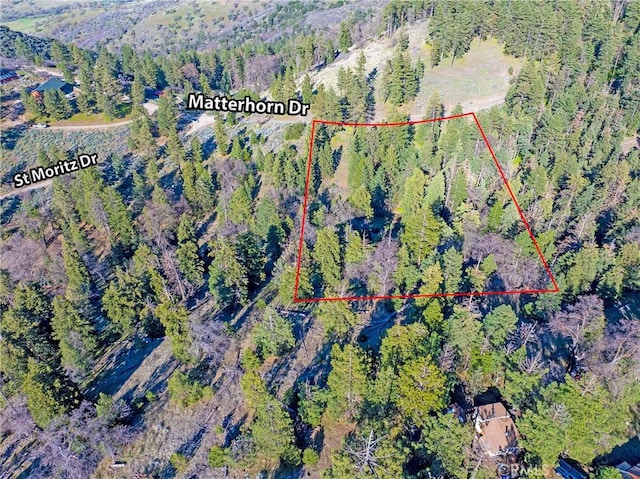 16701 Matterhorn, Alpine Forest, CA 93561 - photo 14