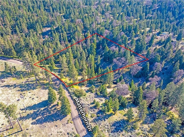 16701 Matterhorn, Alpine Forest, CA 93561 - photo 7