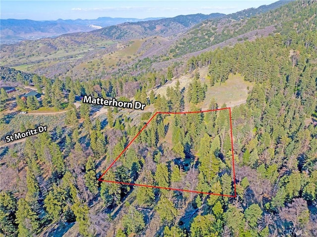 16701 Matterhorn, Alpine Forest, CA 93561 - photo 13