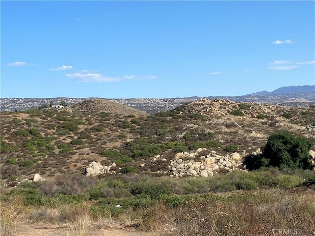 10 Gray, Squirrel Hemet, CA 92544 - photo 4