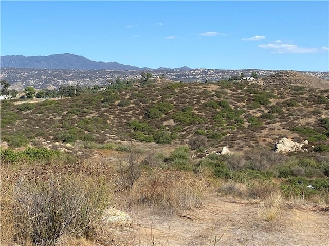 10 Gray, Squirrel Hemet, CA 92544 - photo 5