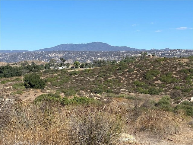 10 Gray, Squirrel Hemet, CA 92544 - photo 2