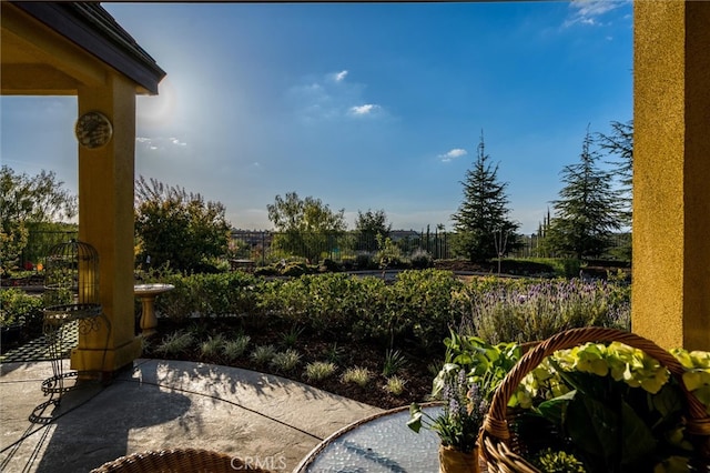 view of yard with a patio