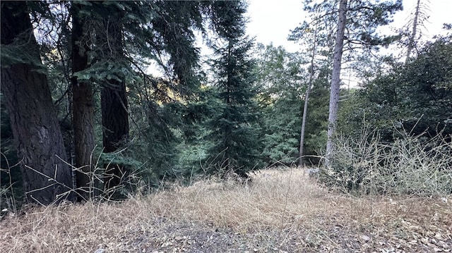 0 Fir, Cedarpines Park CA, 92322 land for sale