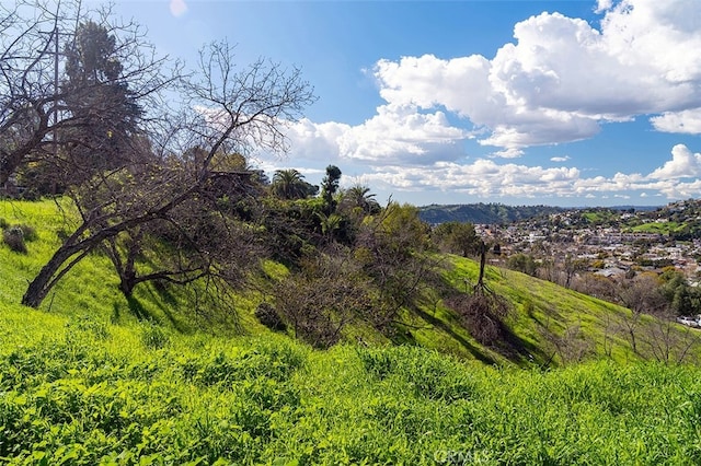 784 Montecito Dr, Los Angeles CA, 90031 land for sale