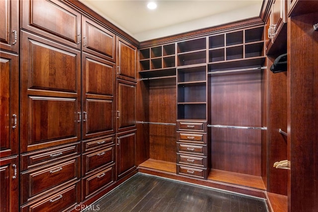 spacious closet featuring dark hardwood / wood-style floors