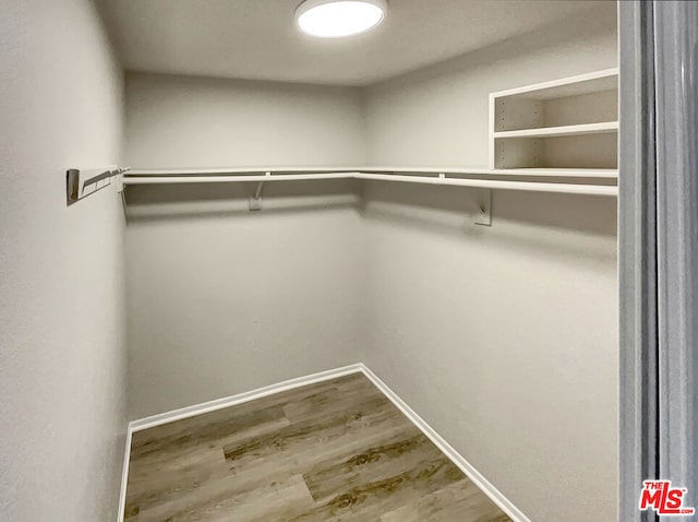 spacious closet featuring wood-type flooring