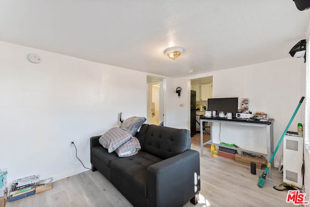 living room featuring light hardwood / wood-style floors