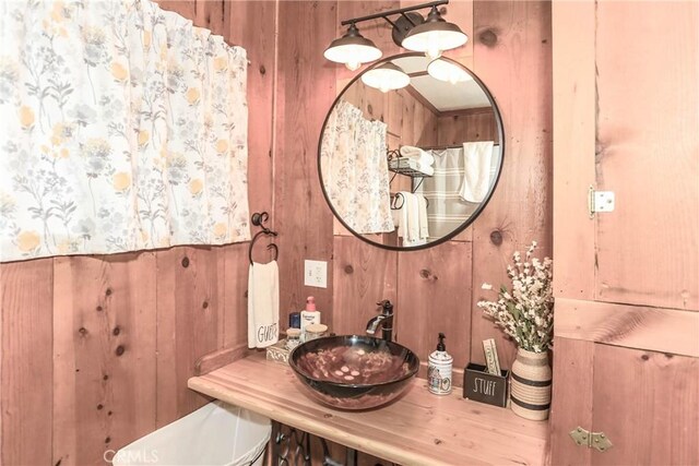 bathroom featuring vanity and wood walls