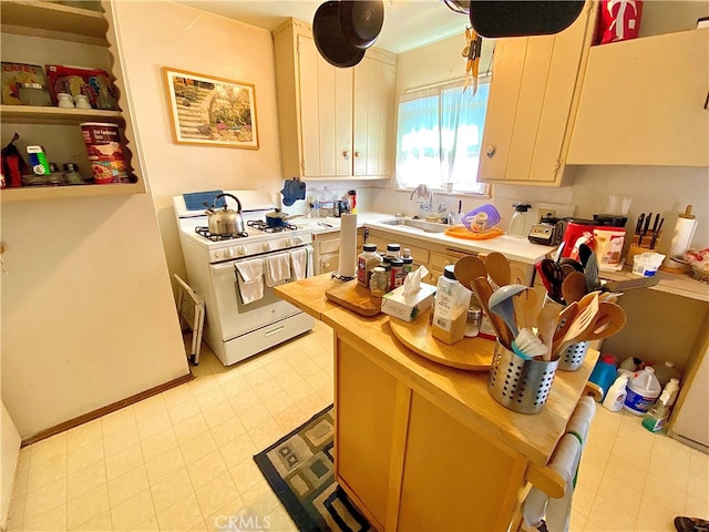 kitchen with sink and gas range gas stove