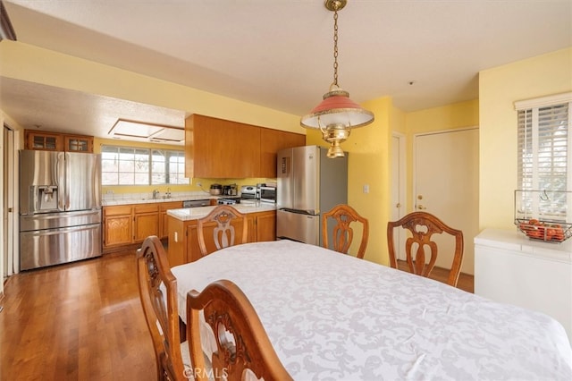 dining room featuring sink and dark wood-type flooring