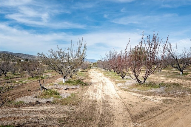 view of street with a mountain view and a rural view