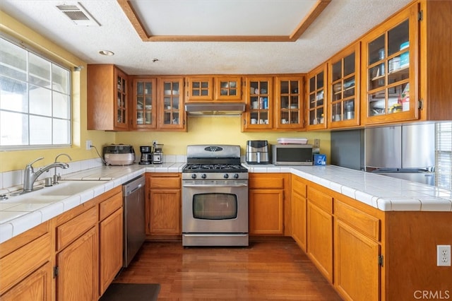 kitchen with appliances with stainless steel finishes, a textured ceiling, sink, and dark wood-type flooring