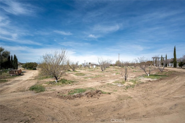 view of yard featuring a rural view