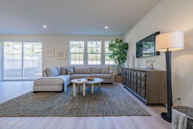 living room with light hardwood / wood-style floors