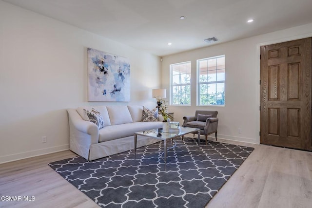 living room with wood-type flooring