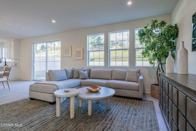 living room featuring hardwood / wood-style flooring and a healthy amount of sunlight