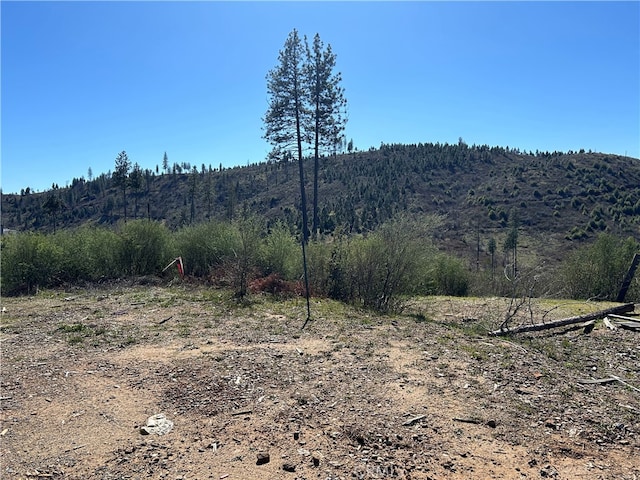 Listing photo 2 for 1234 Hog Ranch Rd, Oroville CA 95965