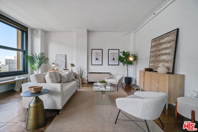 living room with radiator heating unit