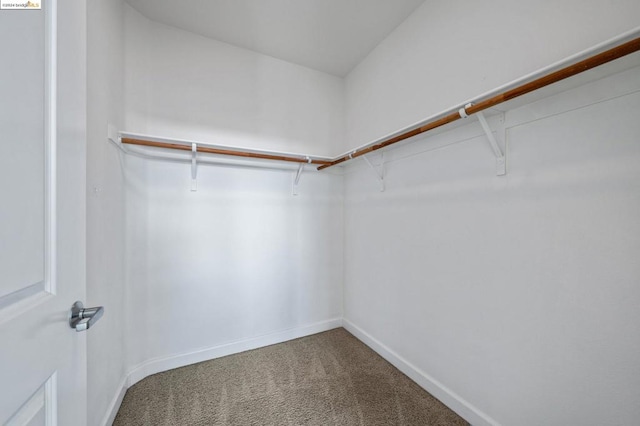 spacious closet with carpet