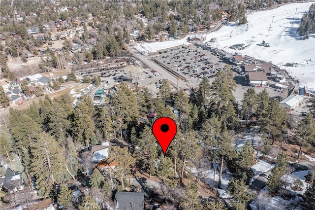 Listing photo 2 for 0 Pigeon Rd, Big Bear Lake CA 92315