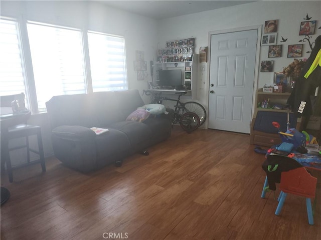 living room with wood-type flooring