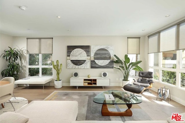 living room with hardwood / wood-style floors