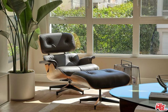 sitting room featuring hardwood / wood-style floors