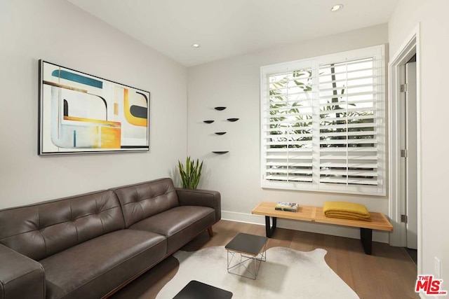 living room with hardwood / wood-style floors