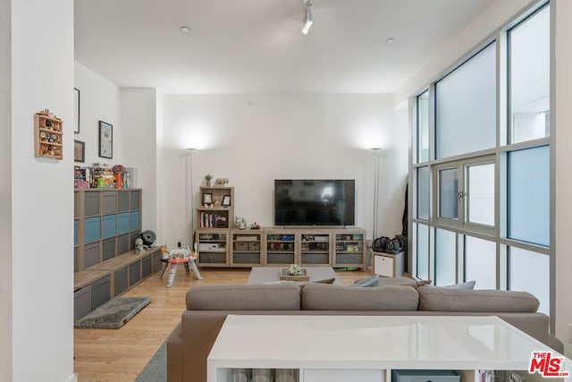 living room with light hardwood / wood-style floors and a healthy amount of sunlight