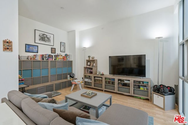 living room featuring light hardwood / wood-style floors