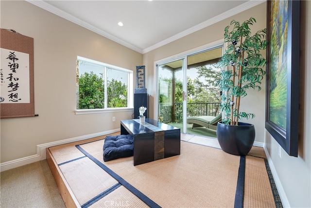 office space featuring carpet flooring and ornamental molding