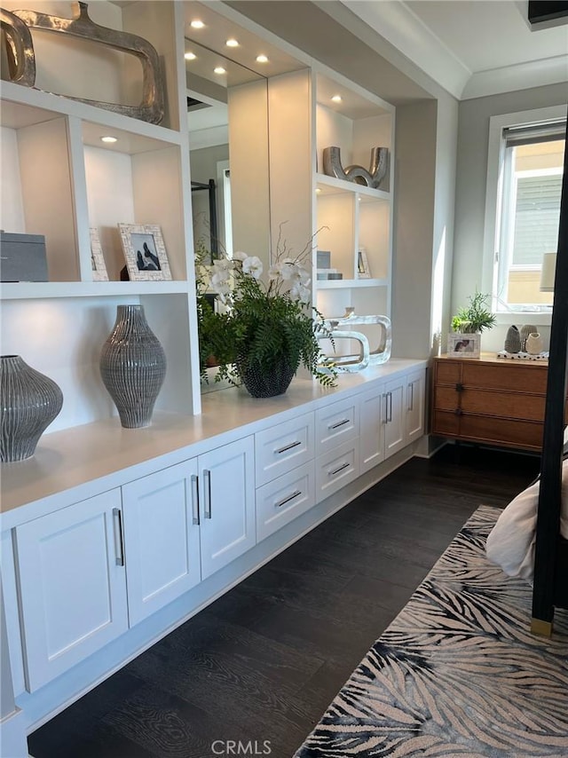 mudroom featuring dark hardwood / wood-style flooring