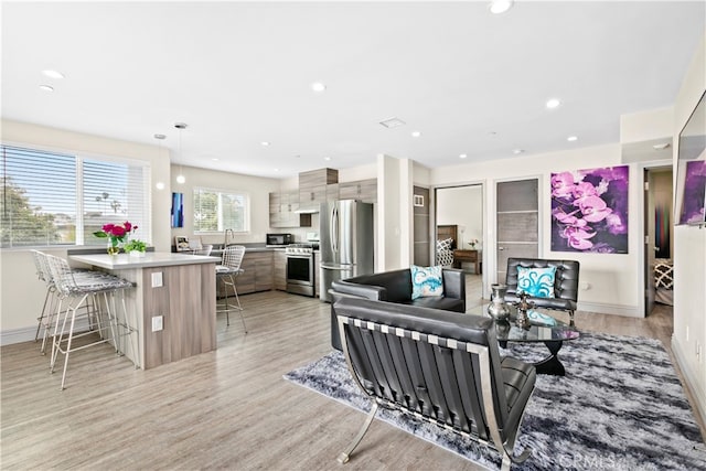 living room featuring sink and light hardwood / wood-style floors