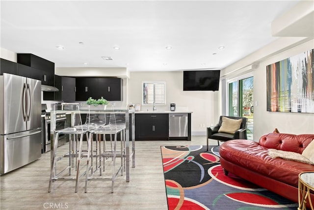 living room featuring light hardwood / wood-style flooring and sink