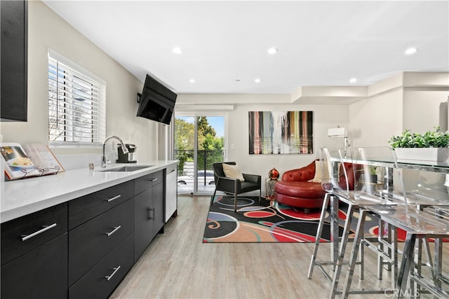 kitchen with light hardwood / wood-style flooring, plenty of natural light, sink, and stainless steel dishwasher