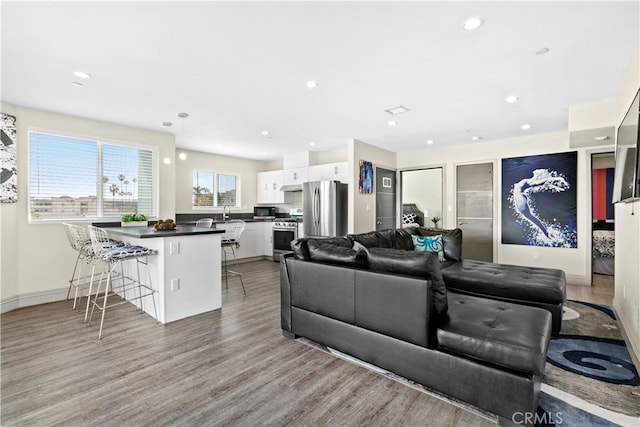 living room featuring light hardwood / wood-style flooring