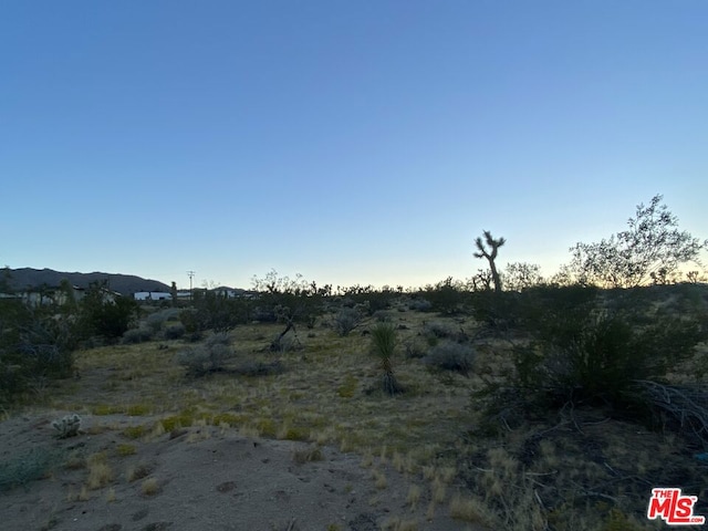 Listing photo 3 for 0 Saddleback Rd, Joshua Tree CA 92252