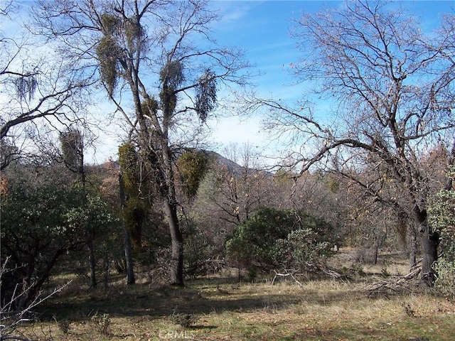 1 Jean Rd, West, Oakhurst, CA 93644 - photo 4