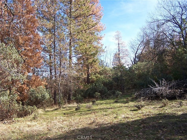 Listing photo 2 for 1 Jean Rd W, Oakhurst CA 93644