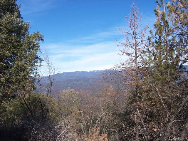 1 Jean Rd, West, Oakhurst, CA 93644 - photo 5
