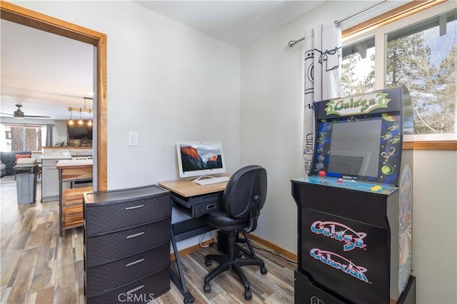 home office featuring ceiling fan and light hardwood / wood-style flooring