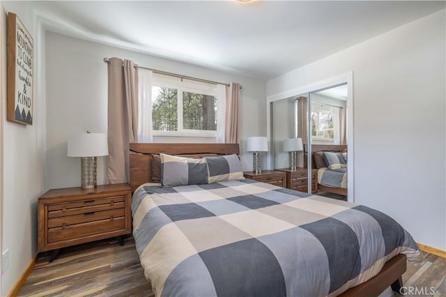 bedroom featuring multiple windows, a closet, and dark wood-type flooring