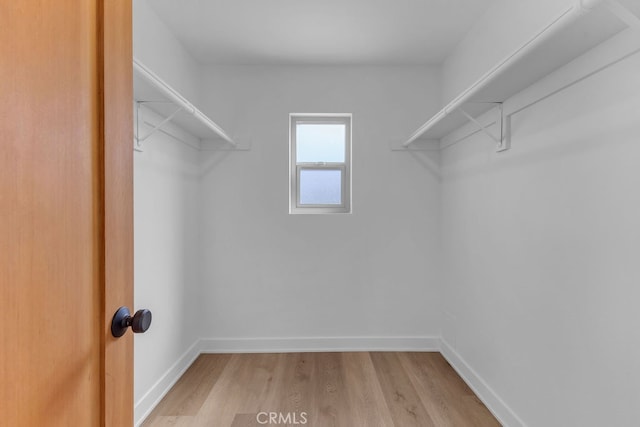 walk in closet with light wood-type flooring