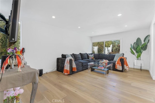 living room featuring light wood-type flooring