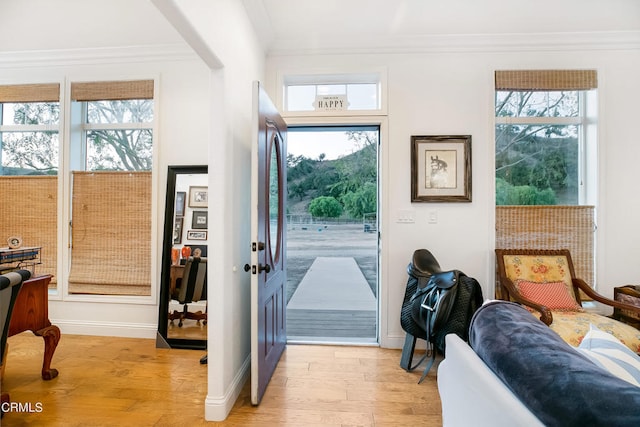 foyer entrance with light wood-type flooring, a healthy amount of sunlight, and crown molding