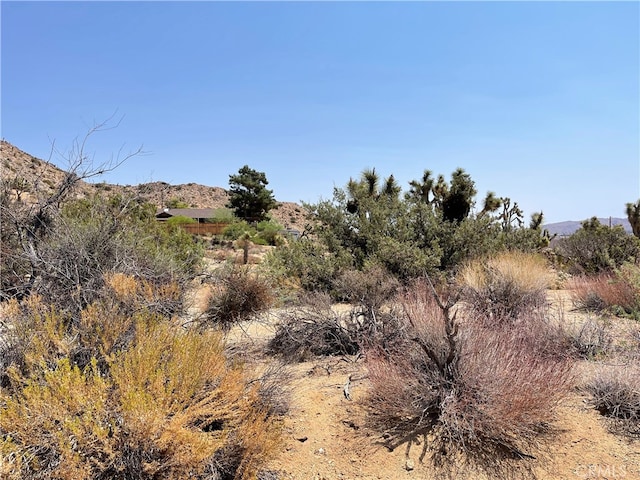 Listing photo 2 for 55750 Desert Gold Dr, Yucca Valley CA 92284