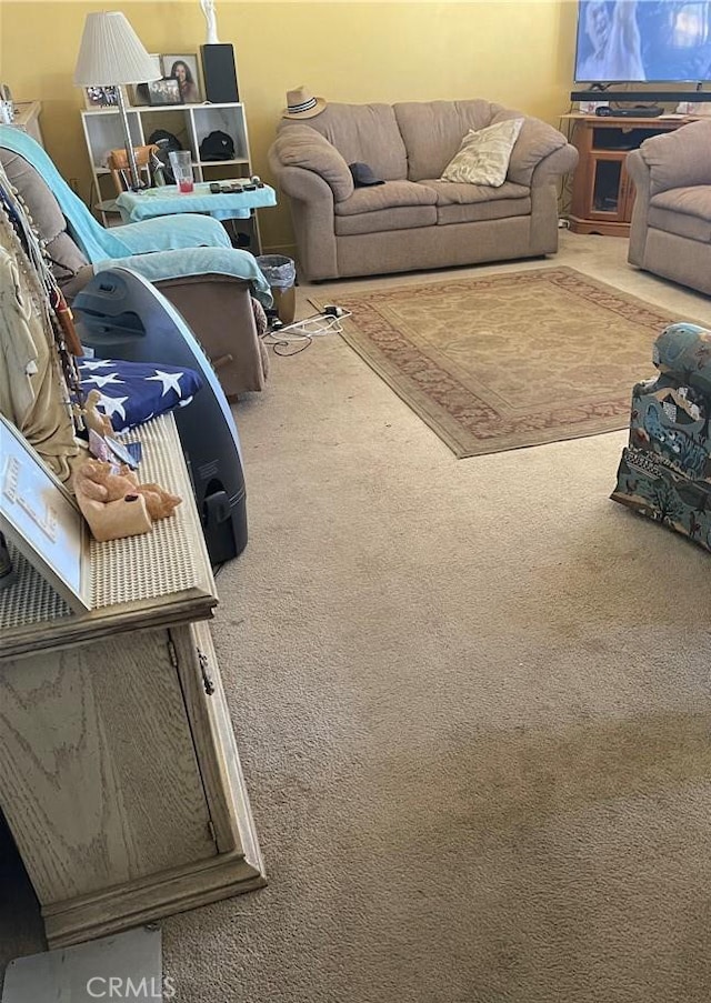 living room with carpet floors