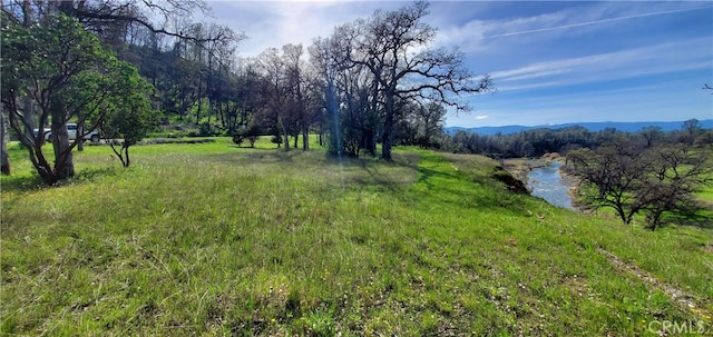 Listing photo 3 for 16220 Rancho Tehama Rd, Corning CA 96021