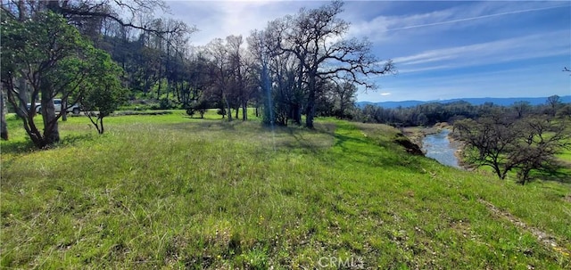 Listing photo 3 for 16220 Rancho Tehama Rd, Corning CA 96021